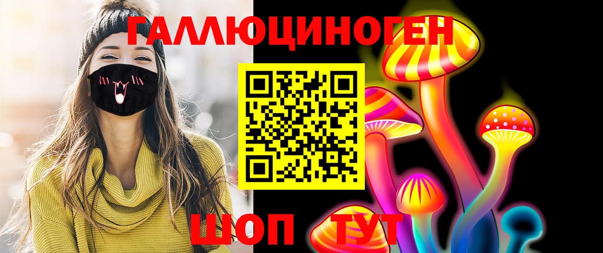 Псилоцибиновые грибы прущие грибы  Вход с VPN  Вольск 